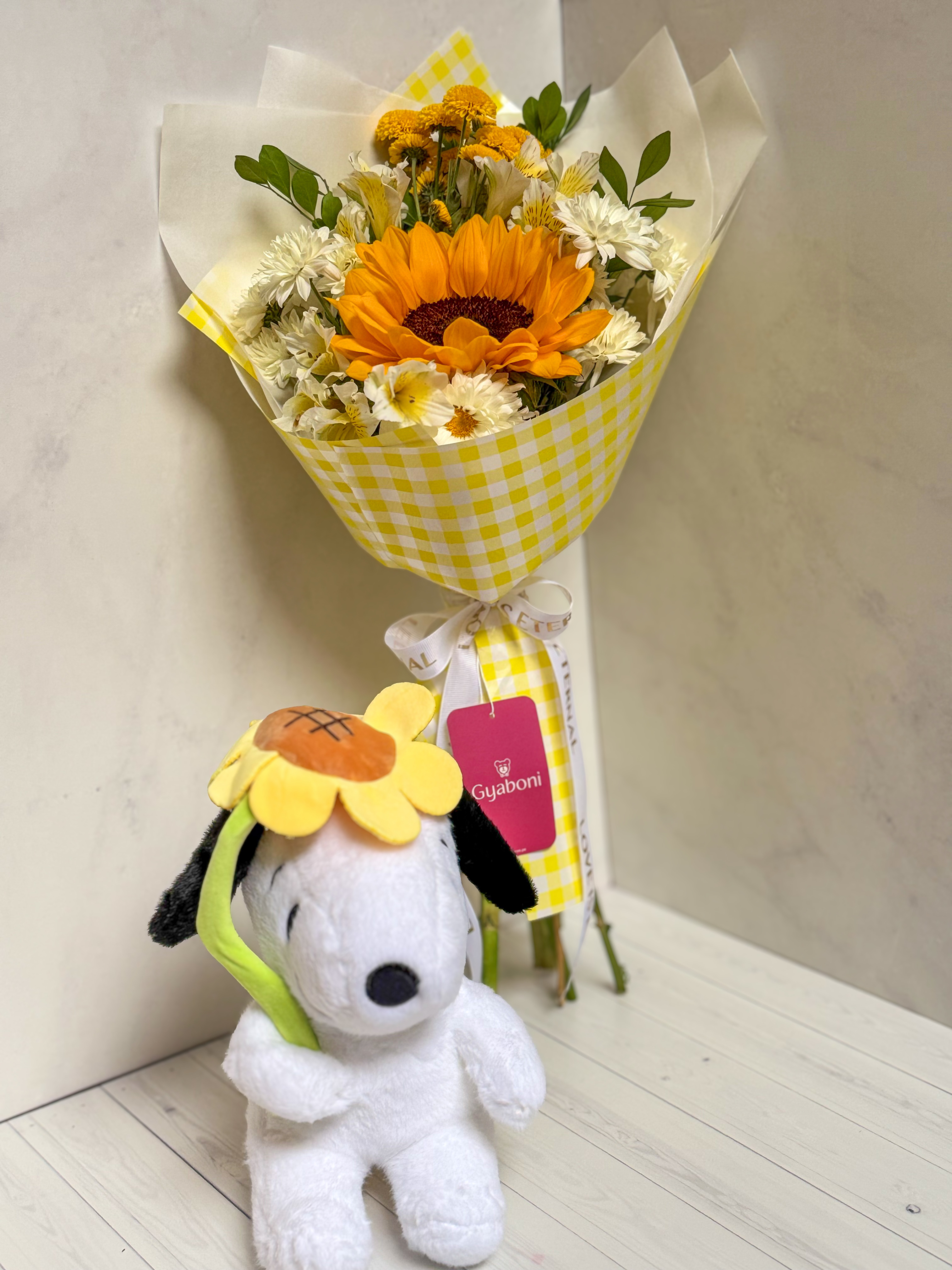 Combo Snoopy Primavera