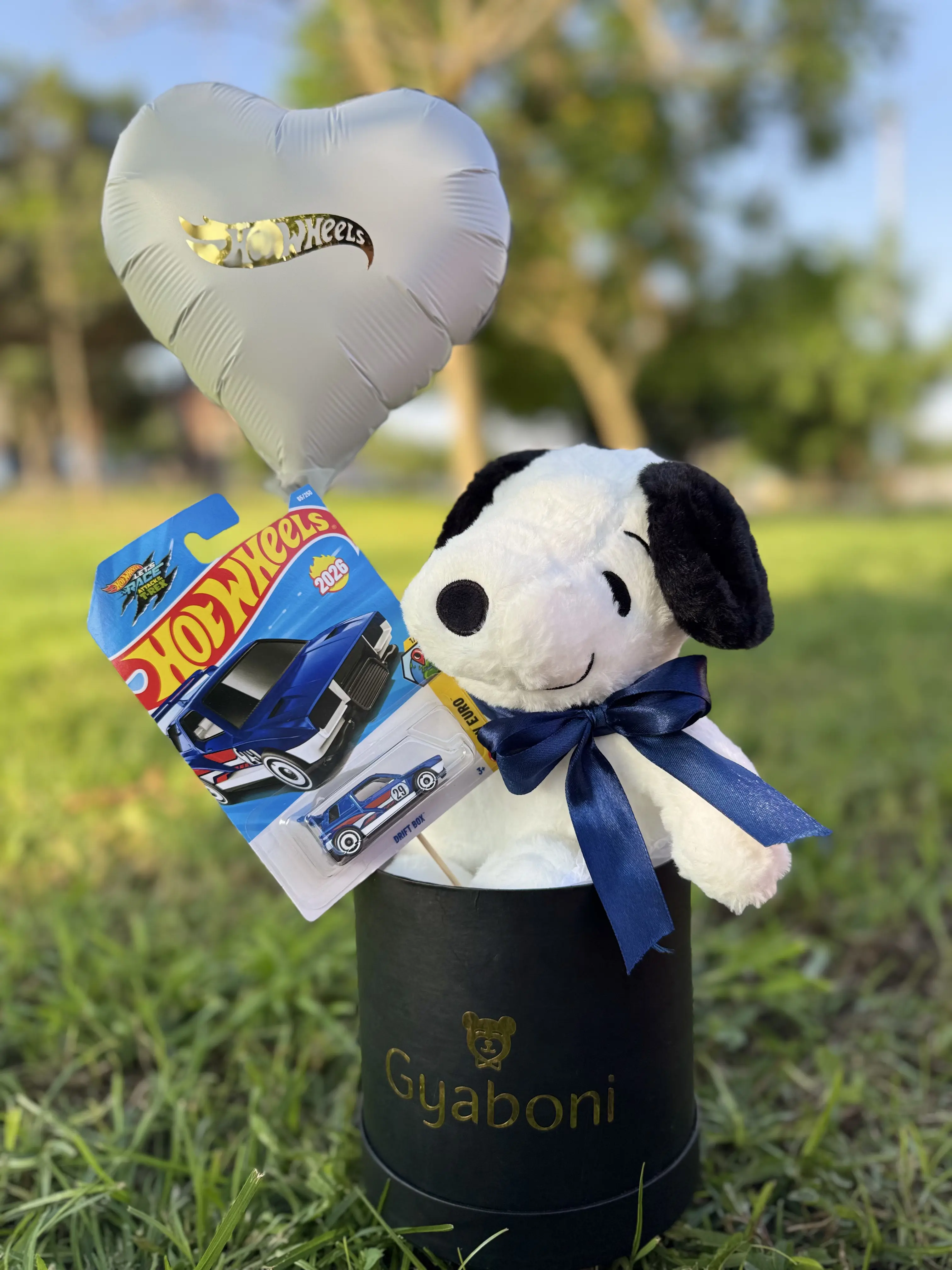 Box Snoopy Hot Wheels
